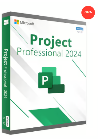 Microsoft Project 2024 Professional (PC)