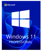 Windows 11 Professional Activation Key